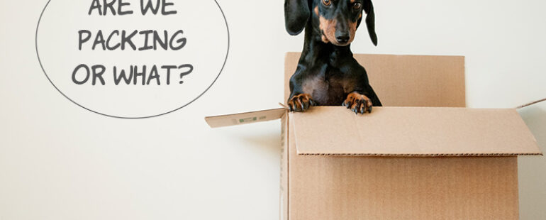 8 Moving And Packing Tips